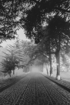 Niebla en el estribo