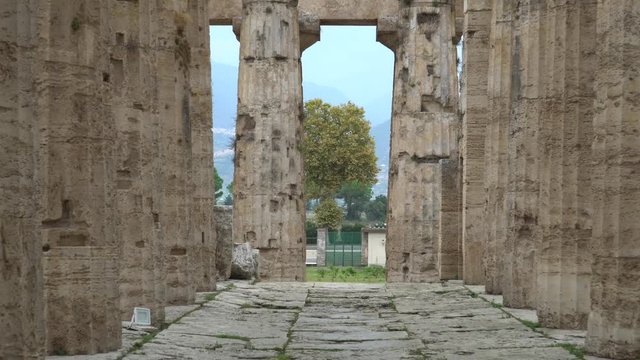 Second Temple of Hera  - a Greek temple in Paestum, Italy. 4K.