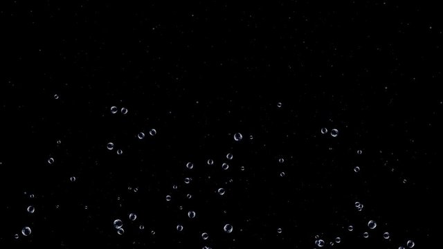 Bubbles on black background. Bubbles over Black Background