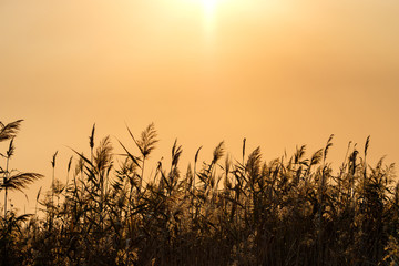 Fototapeta premium Recreation and fishing on the lake.