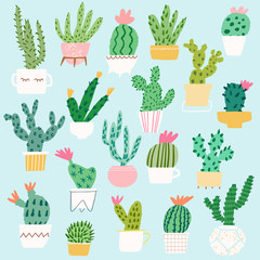 Vector cactus in pot illustration set. Cacti isolated