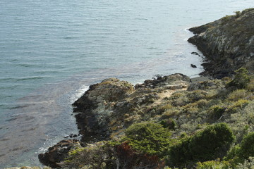 Acantilado  en  la  Patagonia  Argentina
