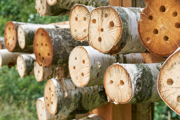 Close-up of a bee hotel or insect hotel a manmade structure created to provide shelter for insects in a variety of tree logs © Harry Wedzinga