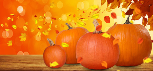 Halloween Motiv
