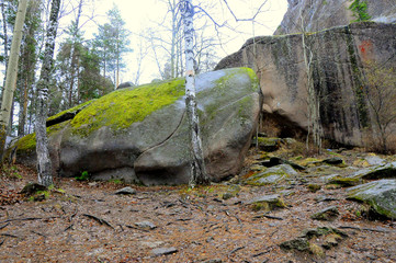 The nature reserve Stolby , stones processed by water and wind over the millennia to freakish...