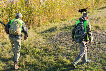 Hunters with a german drathaar and spaniel, pigeon hunting with dogs in reflective vests