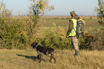 Hunters with a german drathaar and spaniel, pigeon hunting with dogs in reflective vests