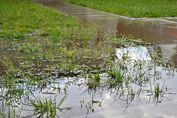 Small flood in garden