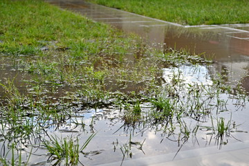 Small flood in garden