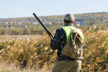 Hunters with a german drathaar and spaniel, pigeon hunting with dogs in reflective vests
