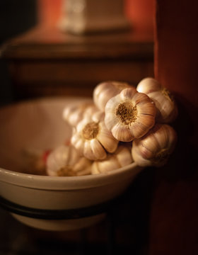 Garlic