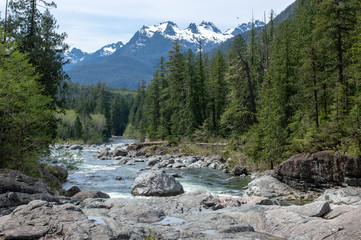 Fototapeta na wymiar Mountain river
