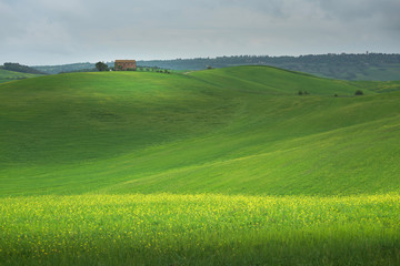 Tuscany - Landscape panorama, hills and meadow, Toscana - Italy