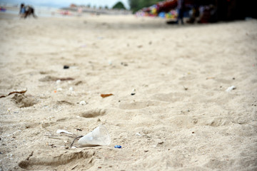 Plastic garbage on the beach. Concept world problems of environmental pollution and ecology. Beach garbage.