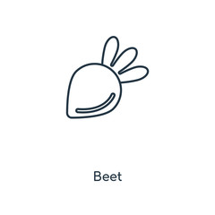 beet icon vector