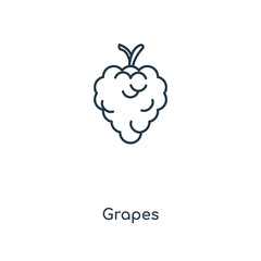 grapes icon vector