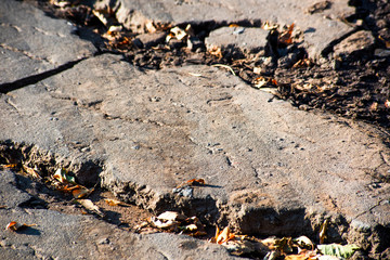 Uneven old asphalt road with yellow leaves