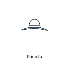 pamela icon vector