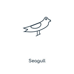 seagull icon vector