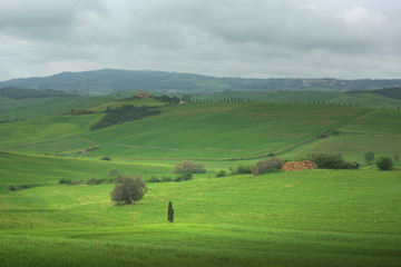 Fototapeta premium Beautiful spring landscape in Tuscany, Italy