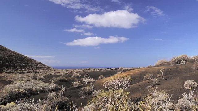Wide angle, moving crane shot over a leafless Tabaiba Tree Euphorbia atropurpurea, revealing desert, mountains and the sea, in El Hierro, Tenerife, Canary Islands, Spain