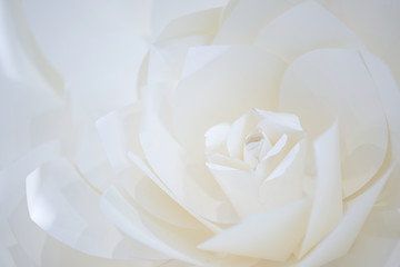 Pastel paper flower; cream, white, pink, green, blue with hand craft art on the white wood plate background.