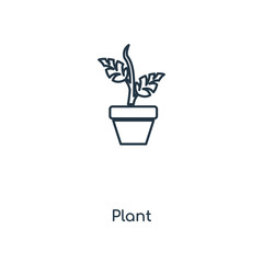 plant icon vector