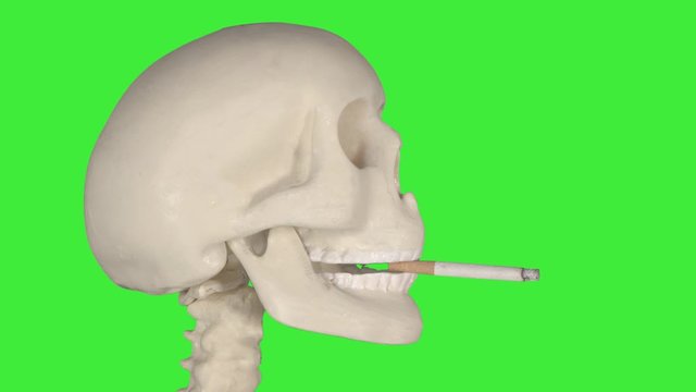 Time lapse footage of smoker skull smoking a cigarette in the studio. Shot in 4k resolution with green screen background