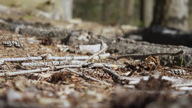 Splashing debris of a mountainbike tire