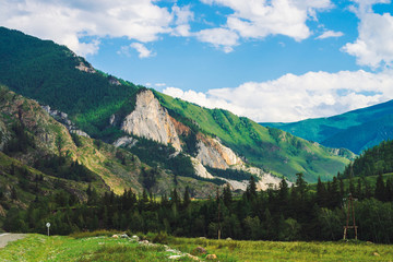 Obraz premium Wonderful mountains with forest cover on mountainside in sunny day. Beautiful giant rocky ridge. Rich vegetation in highlands in sunlight. Amazing mountain landscape of majestic nature with highway.