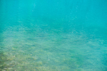 Shiny texture of azure surface of mountain lake. Background with reflection of green mountains trees in clear water in sunny day. Plants on bottom through transparent water. Copy space.