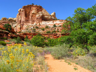 Hiking Path Through Southwest Desert with Sandstone Formations