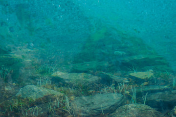 Plakat Boulders and plants on bottom of mountain lake with clean water close-up. Mountains reflected on smooth water surface. Background with underwater vegetation.