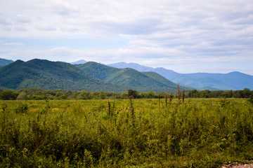 Fototapeta na wymiar Russia Vladivostok nature