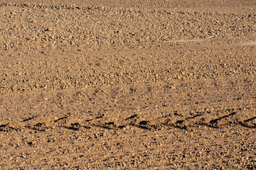 A background texture of smoothly tilled soil in a farm field shows swirls of till marks and tracks from tractors. 
