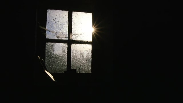 Sunlight shining through a window crawling with flies. PANNING SHOT