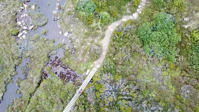 A drone shot hovering over the walking track in the mountains of Tasmania.