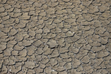Cracked soil dry earth texture,background