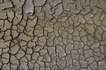 Cracked soil dry earth texture,background