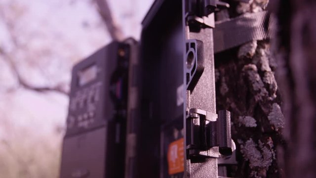 high speed/slow motion shots of putting up trail cameras