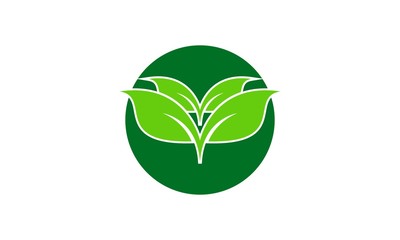 Green leaf design