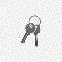 keys on the ring icon. On grid background