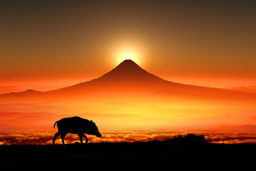 Fototapeta na wymiar 富士山の日の出とイノシシのシルエット