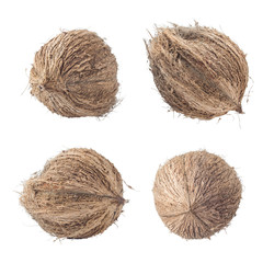 coconuts isolated on white background clipping path