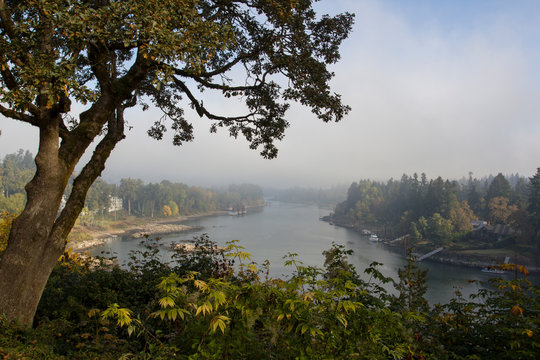 Morning Fog Over Willamette River In Lake Oswego, Oregon.