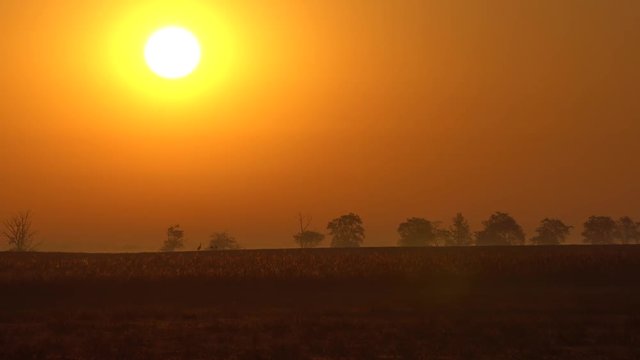 Bright majestic sunset over a Hortob&radic;&deg;gy national park in Hungary