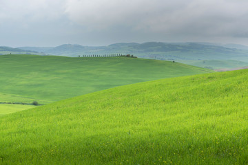 Beautiful landscape in Tuscany. Italy