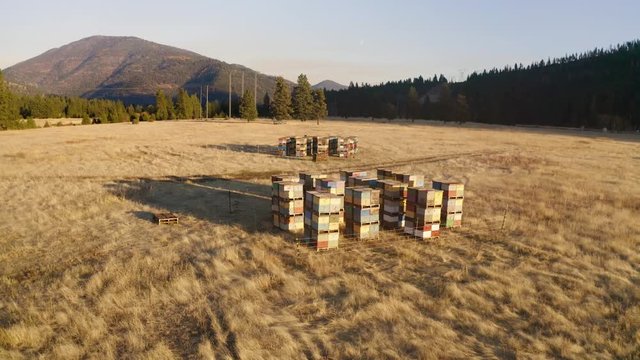 Tracking right shot of an apiary in a grassy field in a mountain valley.