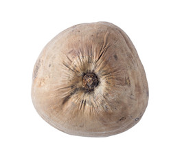 coconuts isolated on gary background clipping path