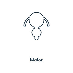 molar icon vector